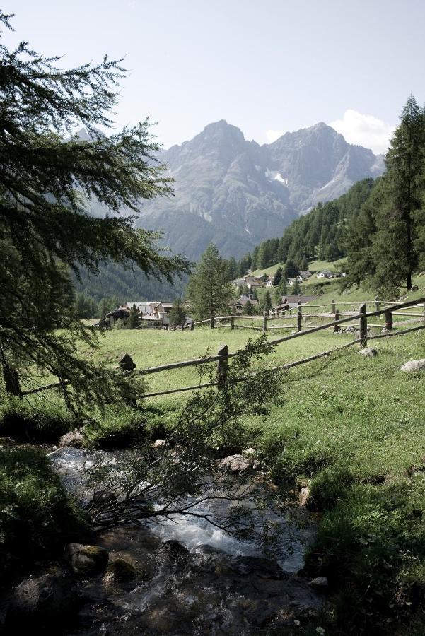 Alpengasthof Crusch Alba Ed Alvetern, S-Charl 施库尔 外观 照片