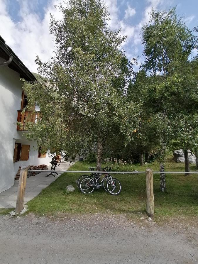 Alpengasthof Crusch Alba Ed Alvetern, S-Charl 施库尔 外观 照片